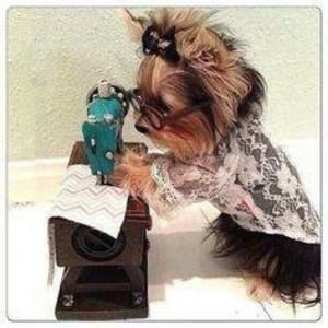 Meet your Posher, Arlene